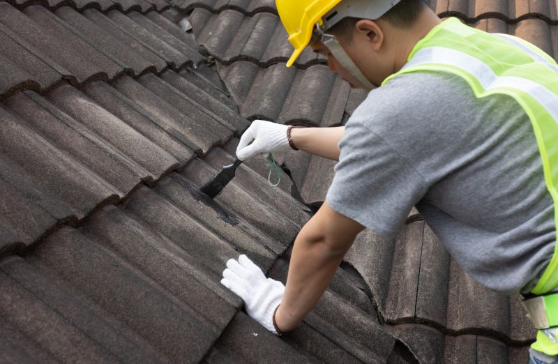 Specialized Roofing Experts